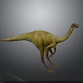 Realistic Dinosaur Figure With Yellow Green Colored Skin Long Neck Standing On Gray Gradient Background
