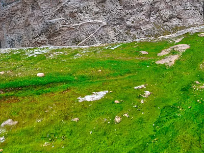 Lush Green Meadow with Scattered Stones in Natural Landscape Against Gray Mountain Cliff 3d model