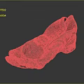 Old Worn Brown Leather Shoes With Torn Upper And Worn Sole Details