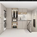 Modern Laundry Room Interior Design With Washing Machine Dryer Hanging Clothes Storage And Decorative Paintings