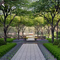 Residential Landscape With Stone Pathway Lined By Lush Greenery Purple Flowers And Canopy Of Trees