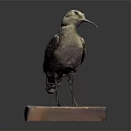 Earth Toned Bird Sculpture Displaying Bowed Neck And Long Beak On Square Pedestal