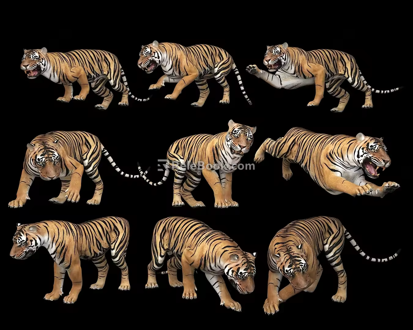 Modern Tiger Combination Animal 3d model