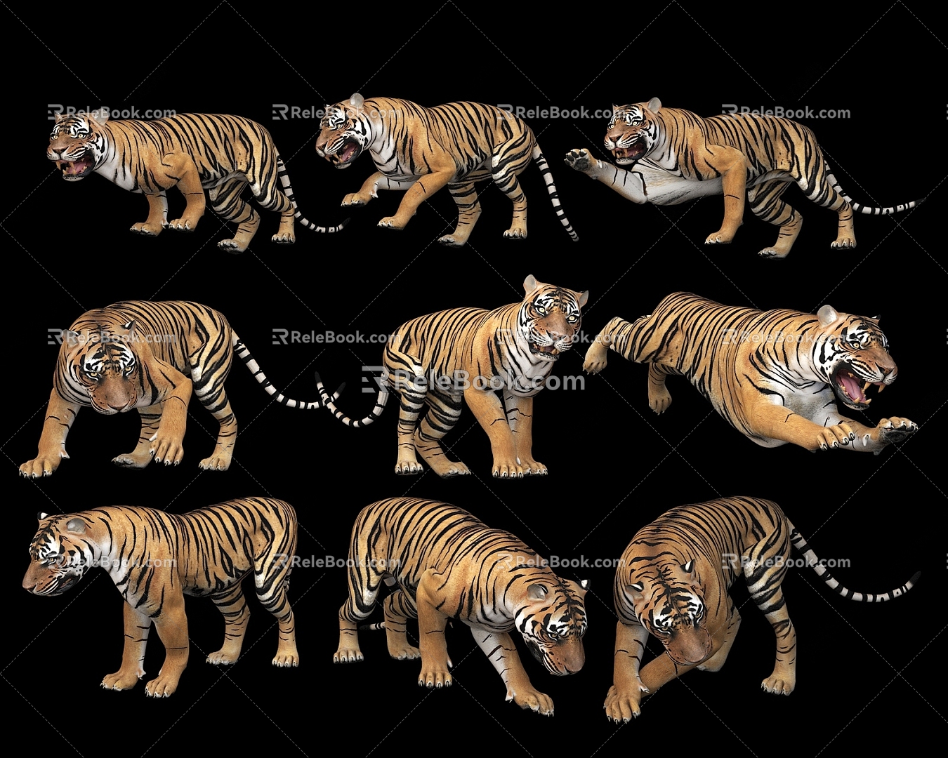 Modern Tiger Tiger Combination Animal 3d model