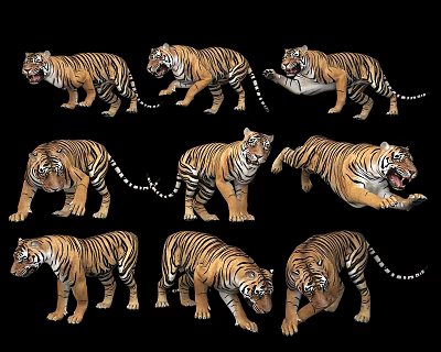 Nine Tigers In Various Dynamic Action Poses Against Black Background 3d model