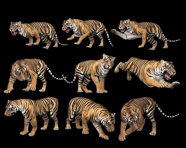 Modern Tiger Combination Animal 3d model