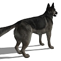 Modern Dog Animal Dog 3d model