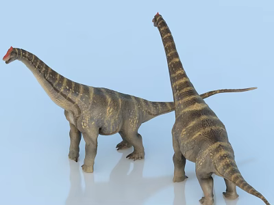 Two Long Necked Patterned Reptiles Standing On Smooth Light Background Surface 3d model