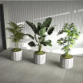 Tropical Potted Palm Banana Leaf And Bamboo Plants With Woven Texture Pots