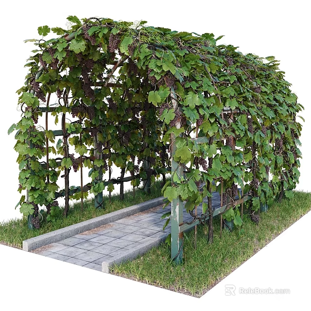 Lush Living Plant Wall Arched Structure With Vine Plants Stone Path And Grass 3d model 