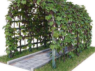 Lush Living Plant Wall Arched Structure With Vine Plants Stone Path And Grass 3d model