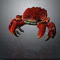 Red Crab With Vibrant Red Shell And Large Claws On Gray Background Showcasing Details