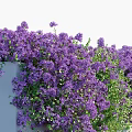 Lush Green Wall With Vibrant Purple Flowers And Foliage For Interior Decoration