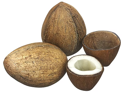 Fresh Coconuts Whole and Halved with White Flesh Brown Outer Shell and Natural Texture 3d model
