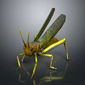 Detailed 3D Rendered Grasshopper With Yellow Green Body And Shiny Wings On Dark Background