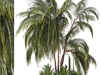Tree Pit With Lush Palm Trees And Green Foliage In Urban Landscape Design 3d model