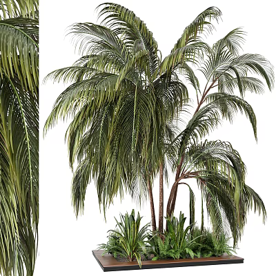 Tree Pit With Lush Palm Trees And Green Foliage In Urban Landscape Design 3d model Tree Pit With Lush Palm Trees And Green Foliage In Urban Landscape Design 3d model