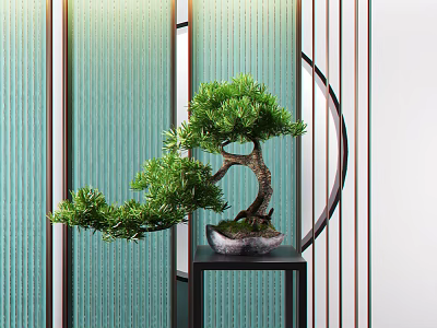 Pine Bonsai Plant In Ceramic Pot On Black Table With Modern Decor Elements 3d model