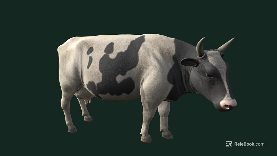 Realistic Black And White Cow With Horns Standing On Dark Background 3d model 