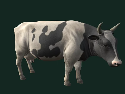 Realistic Black And White Cow With Horns Standing On Dark Background 3d model