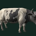 Realistic Black And White Cow With Horns Standing On Dark Background