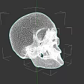 Detailed 3D Rendered White Human Skull Model Side View Against Black Background