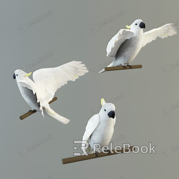 Modern Parrot Cockatoo model