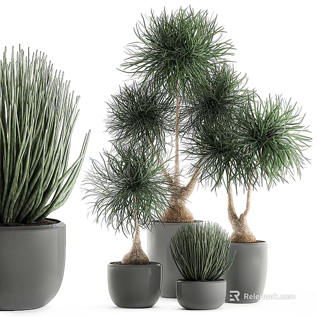 Indoor Decorative Plant Arrangement With Green Potted Plants And Gray Planters 3d model 