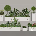 Beautiful Flower And Plant Arrangement With White Planters Rounded Trimmed Greens And Red Blooms