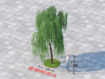 Weeping Willow Arbor With Hanging Branches Green Leaves And Person On Paved Ground 3d model