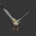 Modern seagull tooth color seagull carrier pigeon food pigeon 3d model