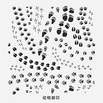 Animal Footprints Cartoon Elements Pattern Illustration 3d model