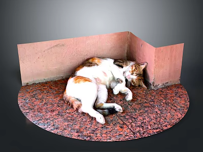 Curled Up Cat Resting In Corner With Pink Walls And Red Floor 3d model