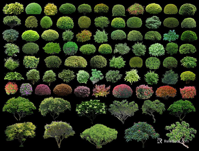 Various Types Of Colorful Bushes With Different Shapes For Garden Landscaping 3d model 