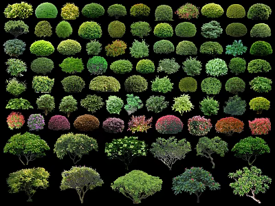 Various Types Of Colorful Bushes With Different Shapes For Garden Landscaping 3d model