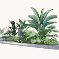 Tree Pit with Lush Green Plants Tropical Foliage Small Stones and Natural Design