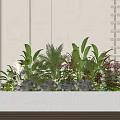 Various Green Plants And Purple Flowers In White Planter On Light Background Wall With Grid Decor