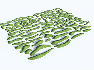 Beautiful Green Botanical Leaves Arranged in Natural Organic Pattern for Garden 3d model