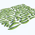 Beautiful Green Botanical Leaves Arranged in Natural Organic Pattern for Garden