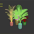 Large Green Leaf Plants In White Pots Arranged On Dark Surface 3d model