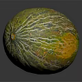 Fresh Whole Green Striped Melon With Yellow Orange Shiny Surface On Black Background