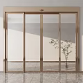 Modern Glass Door With Golden Frame And Potted Plant In Interior Space