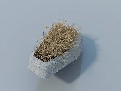 Dried Grass Planted In Gray Stone Planter On Smooth Gray Surface 3d model