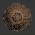 Detailed Organ Structure With Hair Like Protrusions And Natural Textured Surface