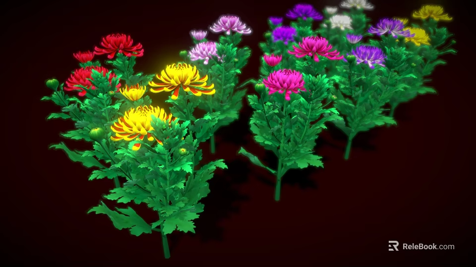 Vibrant Colorful Blooming Chrysanthemums With Lush Green Leaves On Dark Background 3d model 