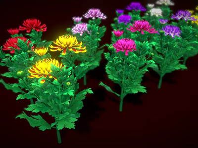 Vibrant Colorful Blooming Chrysanthemums With Lush Green Leaves On Dark Background 3d model
