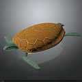 Realistic 3D Rendered Turtle With Orange Shell And Green Limbs On Dark Background 3d model