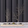 Modern Tree Landscape Tree 3d model