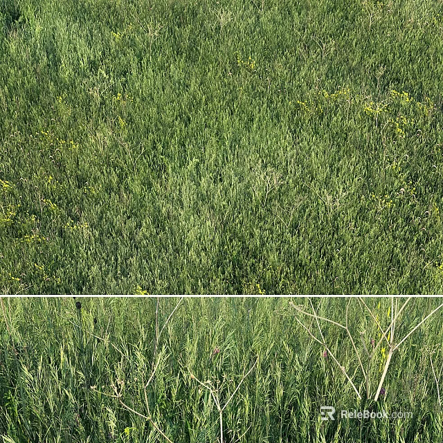 Decorative Ornament Set Arrangement in Outdoor Space with Green Grass and Small Flowers 3d model 