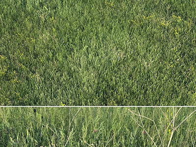 Decorative Ornament Set Arrangement in Outdoor Space with Green Grass and Small Flowers 3d model